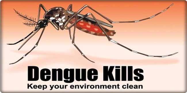 dengue dengue