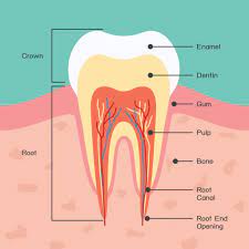 teeth cavity