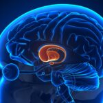 Parkinson’s Disease