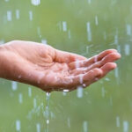 monsoon and diabetes